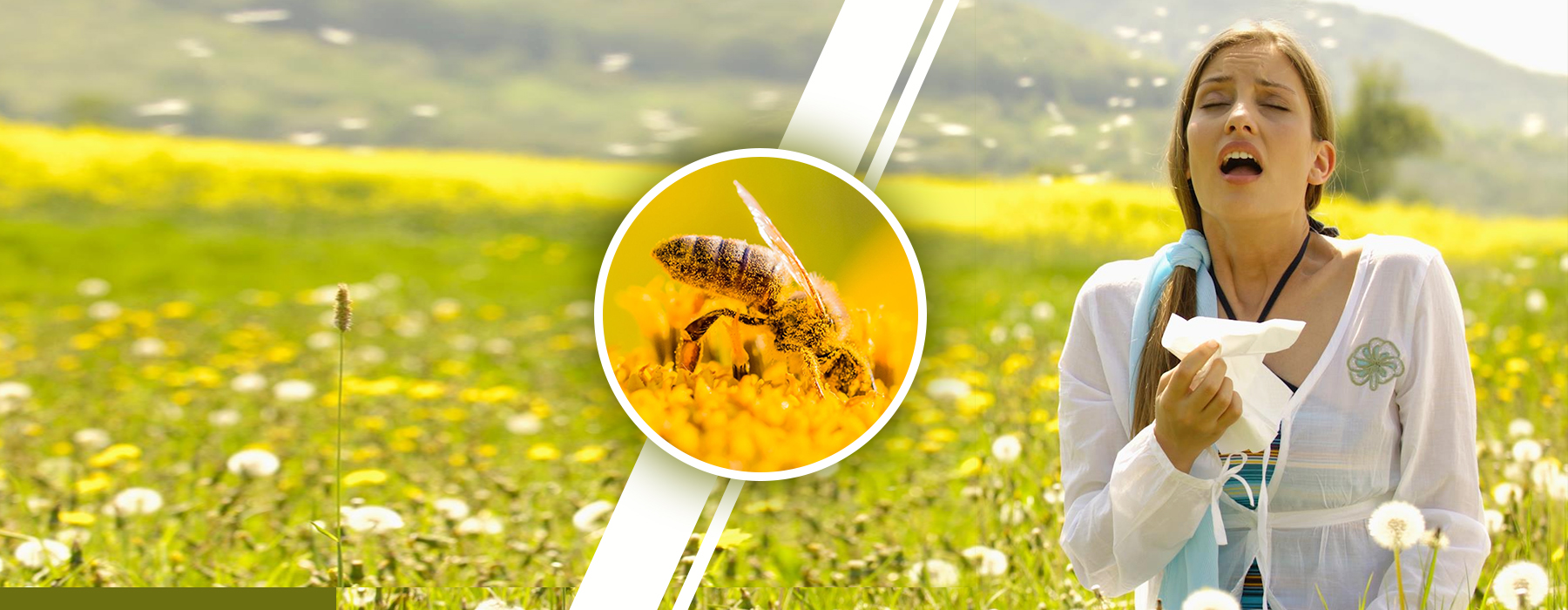 Your Partner in Immunotherapy