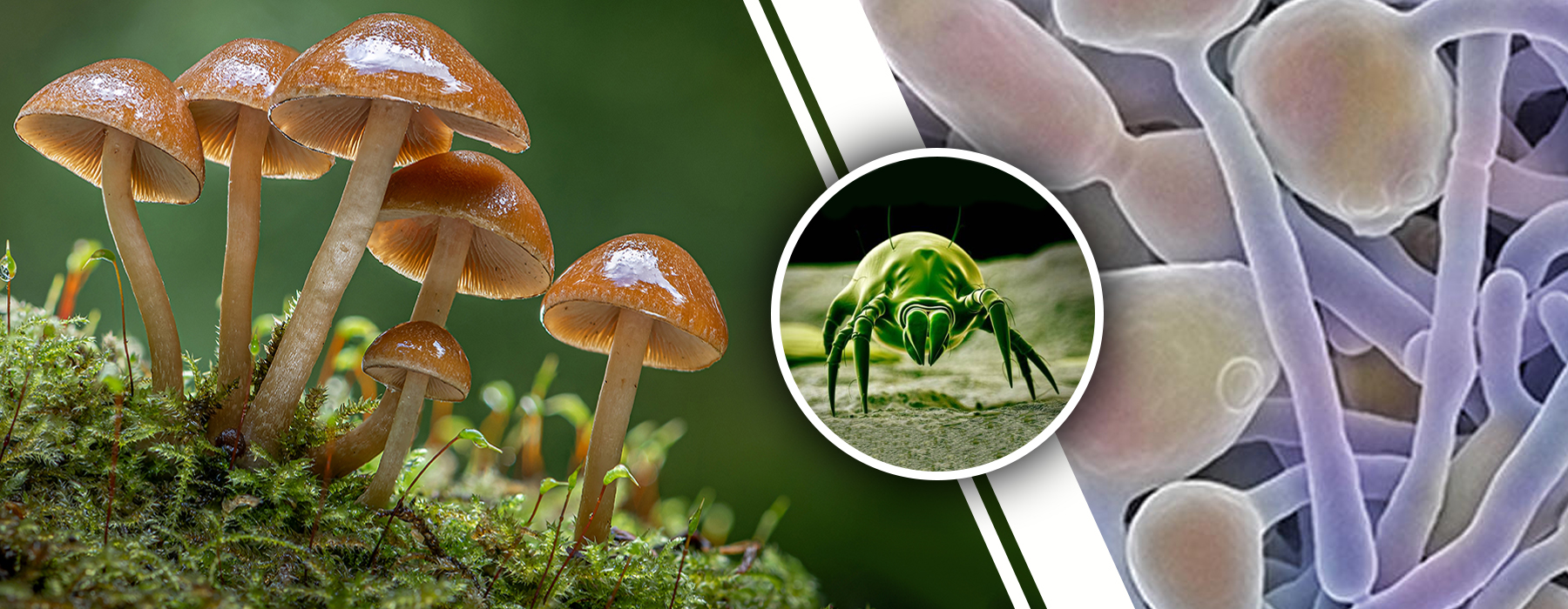 Quality Reliability and Consistency